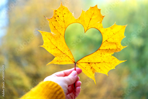 Female hand with bright yellow tree leaf with heart, autumn season mood, warm natural colors, fall foliage, environment beauty, environment, warm tones, botanical nature concept, seasonal change