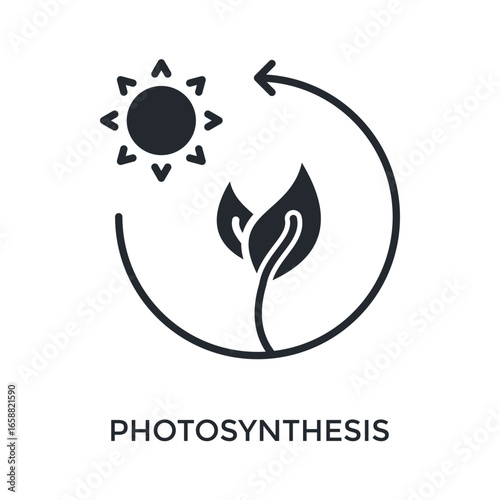 Photosynthesis Icon Glyph Style. Vector Illustration For Graphic Design