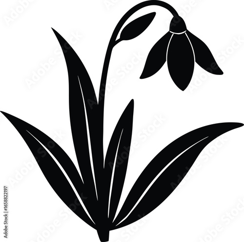 Snowdrop Flower Silhouette