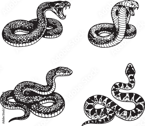 Four Different Snake Illustrations in Black and White snakes serpents