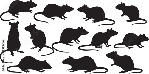Silhouette Collection of Rats in Various Poses on Transparent Background