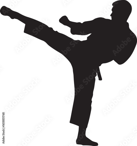 Black silhouette of a person performing a martial arts kick with a white background karate
