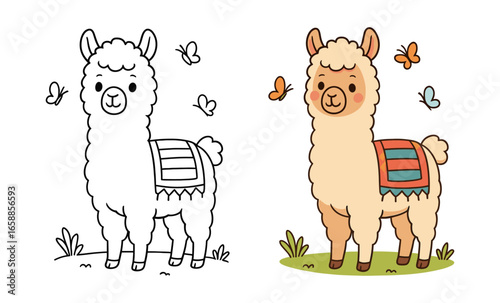 Cute llama cartoon coloring page and finished illustration with butterflies