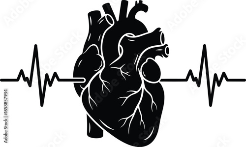 Vector art of black silhouette of a human heart with a pulse line