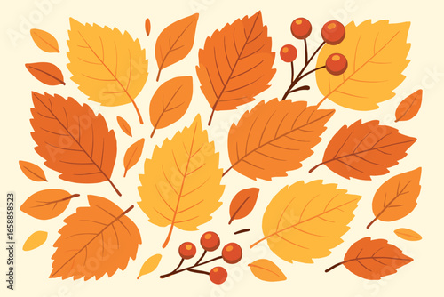 A display of various fall leaves, including elm and birch, with a few sprigs of red berries. The leaves are layered and overlap slightly, creating