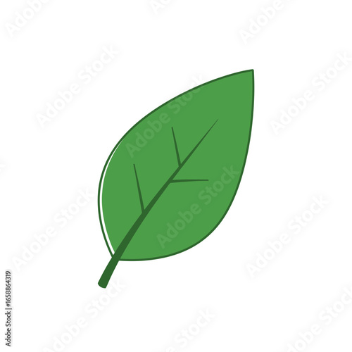 Potted houseplant with green and yellow leaves against a light green background.