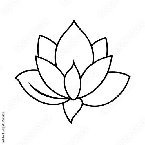 Lotus Flower Vector Illustration