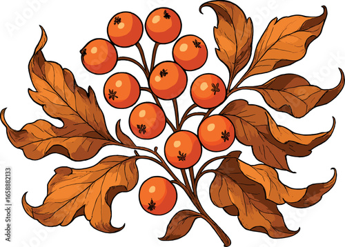 A bunch of orange berries accompanied by curled, dried leaves create a dynamic, lively arrangement. The berries add a pop of color and cheer, while