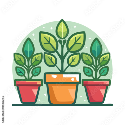 Three vibrant potted plants with lush green leaves creating a fresh indoor garden atmosphere