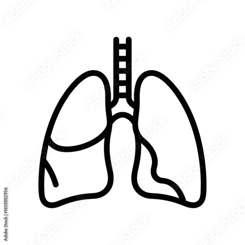 Lungs anatomical illustration in line art style on white background  
