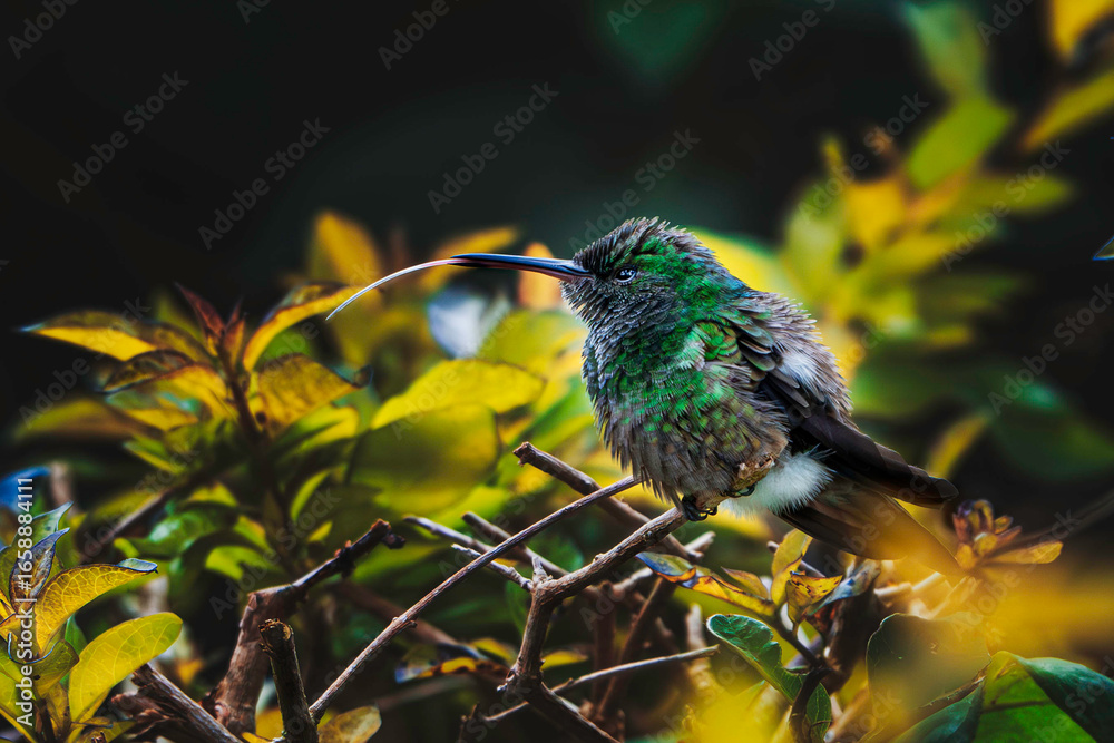 Naklejka premium Amor por el entorno