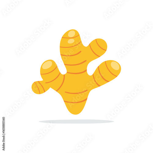 Whimsical Ginger Root Illustration Yellow and Orange Food Herb Single Ingredient Cooking Spice Seasoning Ingredient