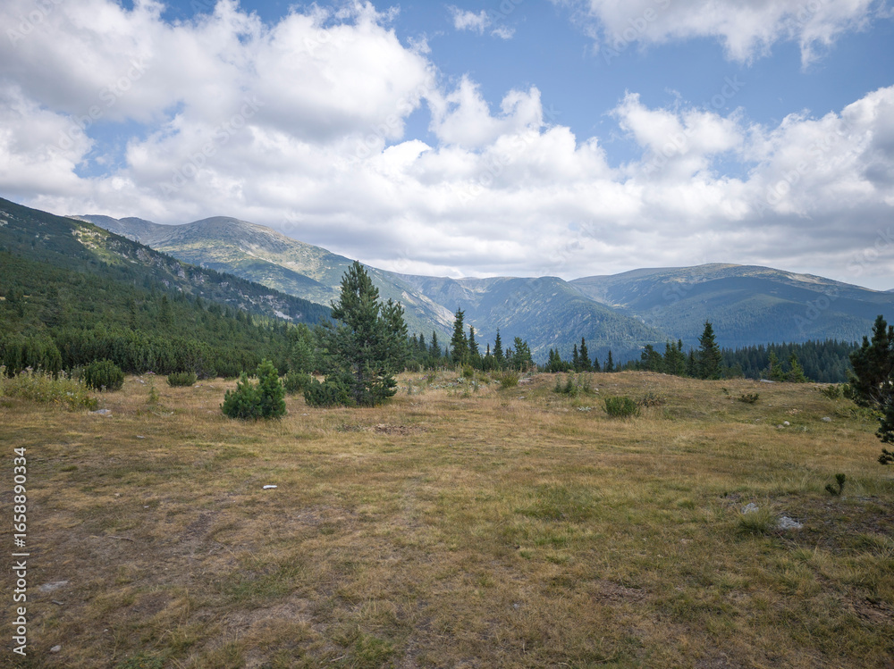 Obraz premium Rila mountain near Granchar Lake, Bulgaria