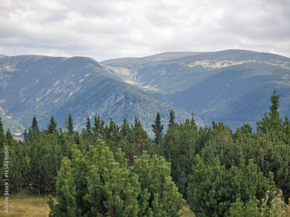 Obraz premium Rila mountain near Granchar Lake, Bulgaria
