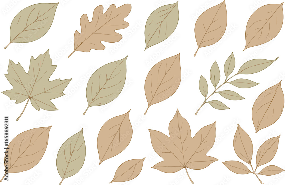 Obraz premium A collection of autumn leaves in various shapes and shades is scattered in a random pattern. The leaves are illustrated with fine lines and soft
