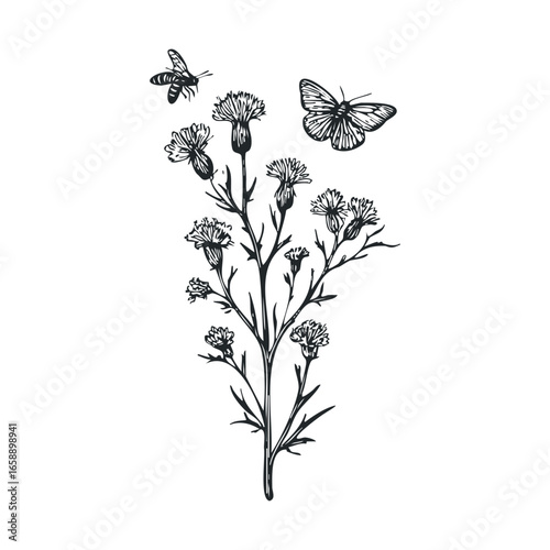 Nature inspired illustration flowers, bees, and butterflies