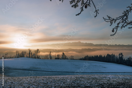 Auflösender / bildender angeleuchteter Nebel am morgen bei Sonnenaufgang bei Schnee im kalten Winter