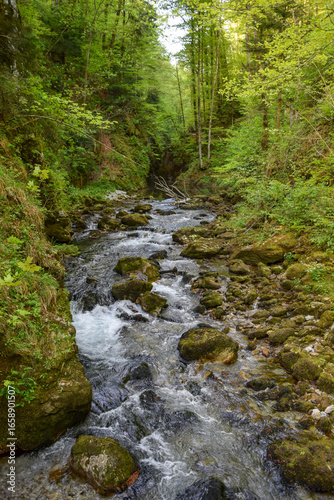 Kamacnik river canyon at Gorski kotar, Croatia
