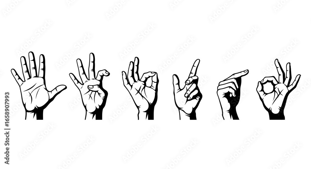 Fototapeta premium Set of human hand gestures and sign language alphabet poses isolated on white background