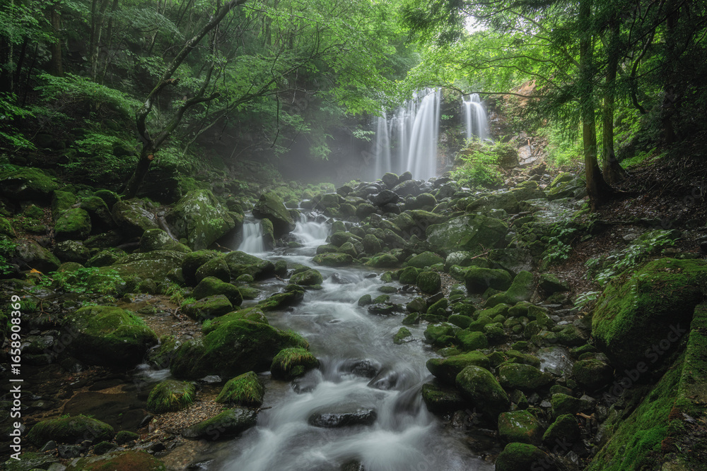 Obraz premium 新緑の木の俣渓谷 