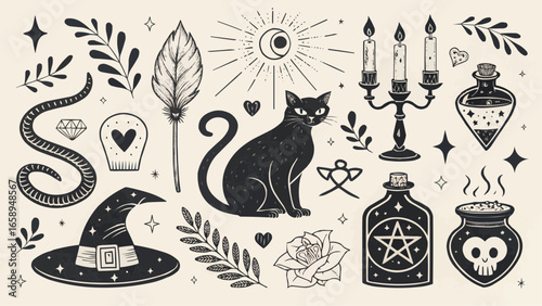 Collection of witchy elements including a black cat, potions, candles, and floral decorations