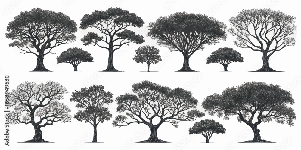 Fototapeta premium Illustration of ten different tree silhouettes with varying branch structures and foliage density