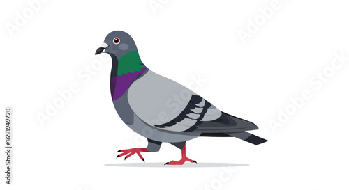 Stylized pigeon artwork displaying vibrant color gradients and streamlined design elements conveying a modern animated style suitable for projects
