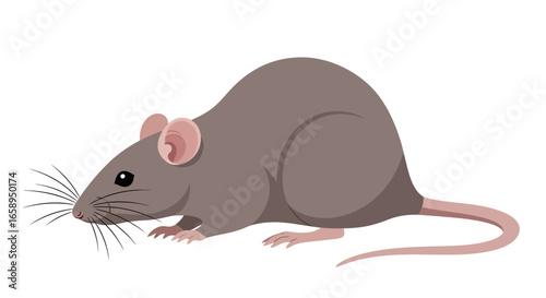 Cartoon brown rat with long whiskers and pointy ears, isolated on white background for kids book illustration or infographics element creation