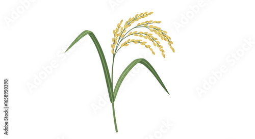 Delicate rice stalk illustration showcasing agriculture's simple beauty and harvest's promise in a clean presentation