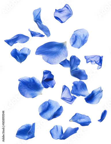 Wallpaper Mural PNG Blue petals floating arrangement atmosphere outdoors. Torontodigital.ca