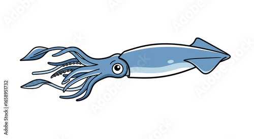 Stylized cartoon squid with outlined body and tentacles on a bright white background illustration 75