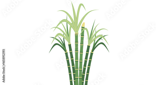 Vibrant sugarcane stalks illustration evoking tropical plantation and natural sweetness for healthy lifestyle and agricultural concept