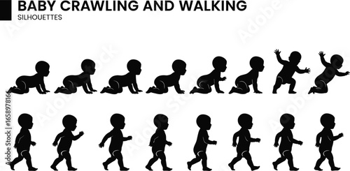 Baby crawling and walking silhouettes, infant development stages, child growth progression, vector illustration, baby milestones, movement evolution, educational concept
