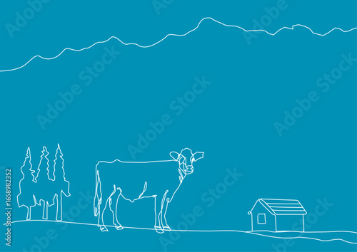 A cow on the plateau