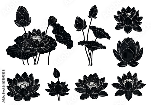 Collection of lotus flower silhouettes with leaves and buds in black and white.