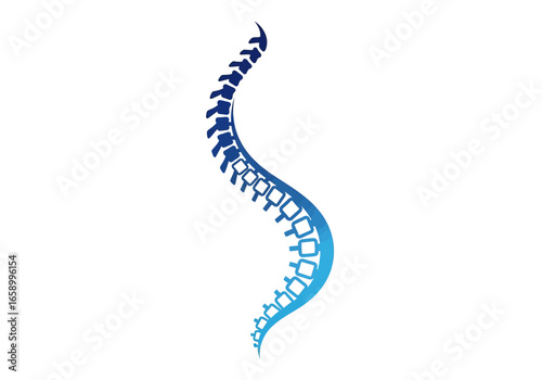 A stylized illustration of a human spine with a blue gradient, showcasing its natural S-curve.