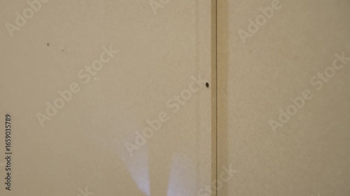 operaio pratica un buco con un trapano in una parete di compensato