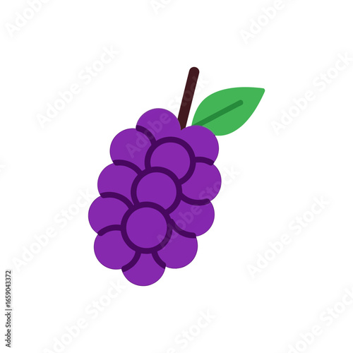 Stylized graphic depicting a ripe purple grape cluster with a vibrant green leaf and brown stem, embodying freshness and natural goodness, perfect for design projects related to healthy eating.