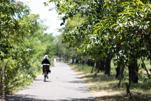 Wallpaper Mural 枚方市天野川緑地（散歩、健康イメージ） Torontodigital.ca