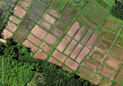 Top View Aerial Photograph