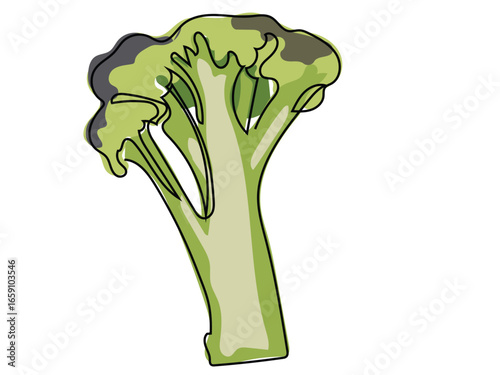 Broccolini in continuous line drawing style on a white background.