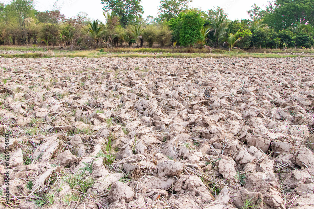 Fototapeta premium Landscape of tiller marks in plowed soil ground, aerial. Plow marks on dry fields agricultural in rural areas where farmers work to cultivate crops. Weather conditions. Texture background abstract