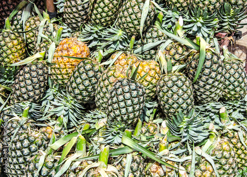 Fresh pineapples