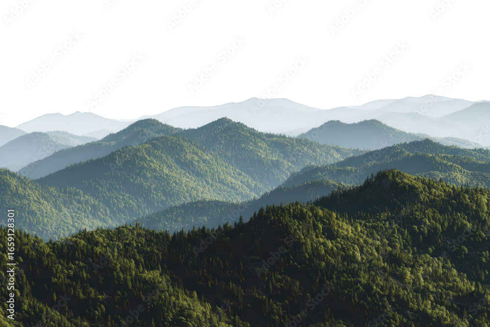 Fototapeta premium Lush Green Mountain Range with Forest on Transparent Background for Design Projects