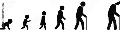 Illustration showing human life stages from infancy to old age, evolution of growth, human development cycle, aging process, life journey, silhouette progression from baby to elderly