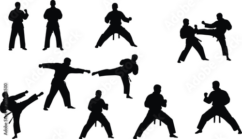 Silhouettes of martial artists in action poses, kicking, punching, stances, black isolated figures, combat training, discipline, self-defense, technique