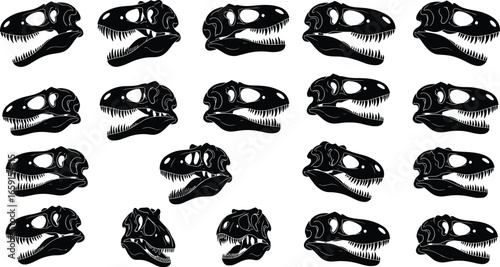 Silhouettes of dinosaur skulls, black isolated theropod heads, T-Rex fossil illustration, prehistoric bones, paleontology reference, extinct species anatomy, science