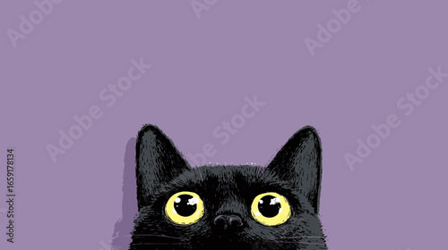 Whimsical Hand Drawn Black Cat Peeking Over Background Illustration
