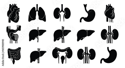 Collection of human organ silhouettes for medical and health concepts