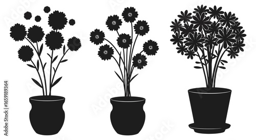 Black silhouettes of flowers in pots on a white background